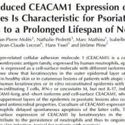 CEACAM1