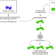 Screening virtuel in silico basé sur le ligand ou la strucutre de la protéine cibleches