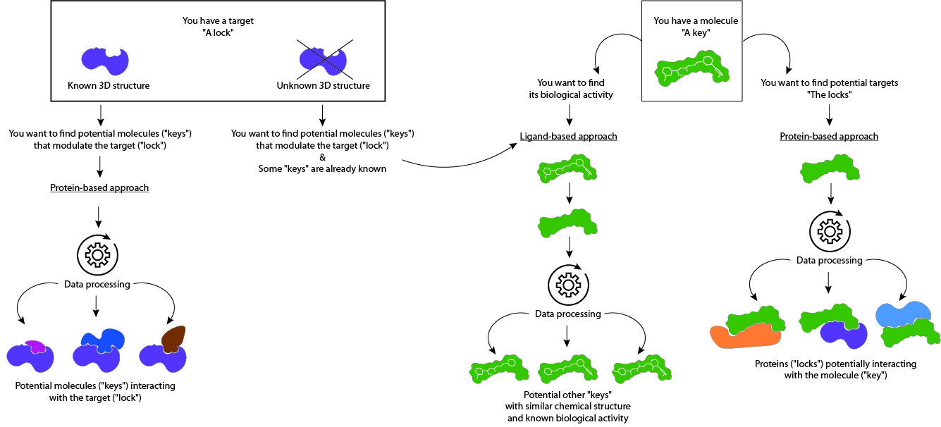 Screening virtuel in silico basé sur le ligand ou la strucutre de la protéine cibleches